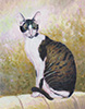 Devon rex cat  oil painting.